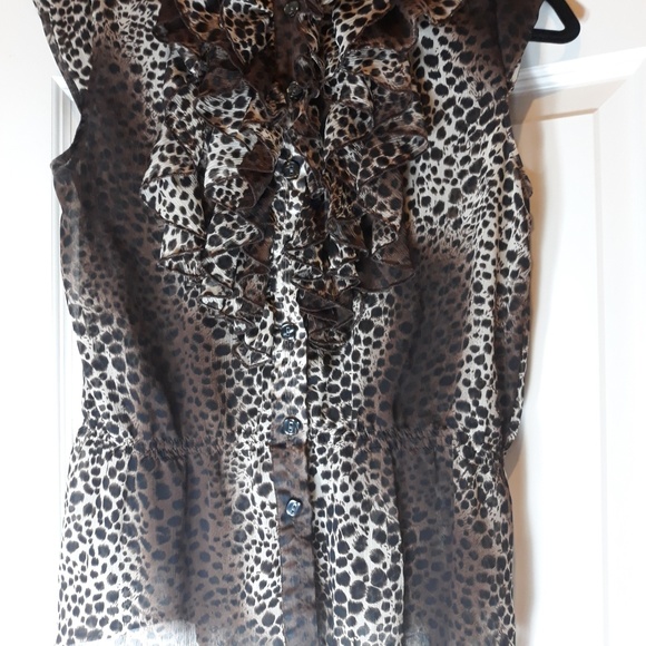 Sheer Animal Print Button Down Ruffle Blouse - Picture 6 of 6